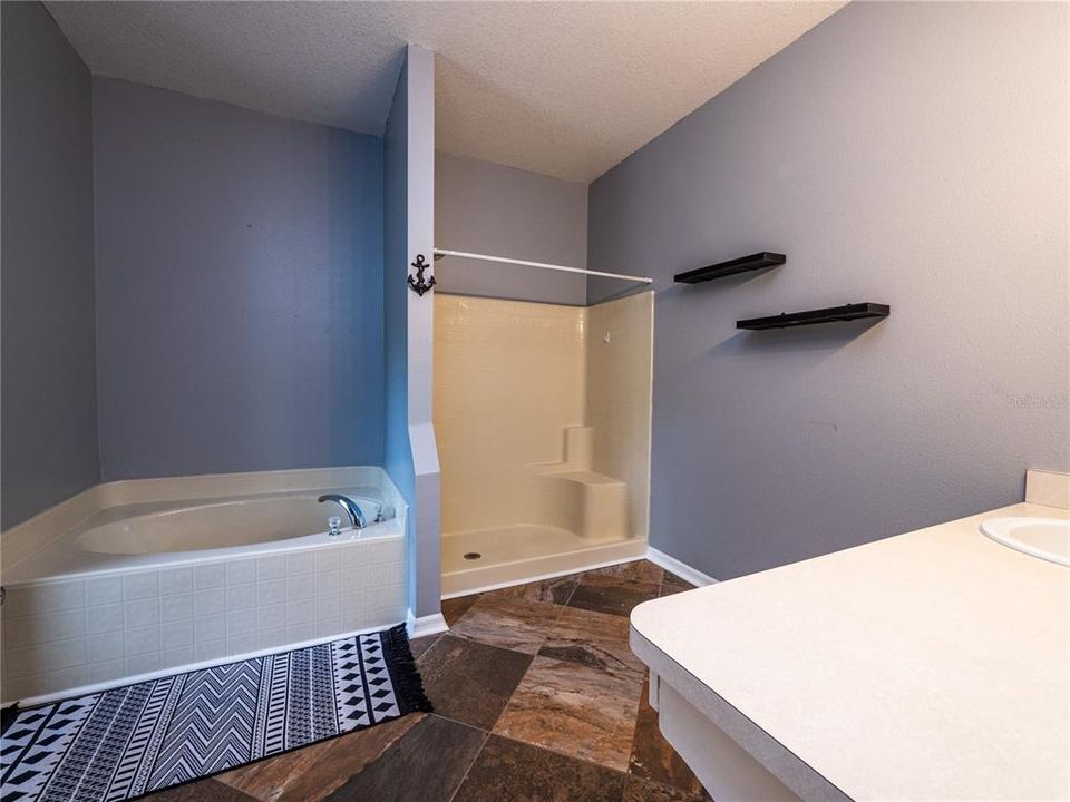 master bath tub and shower