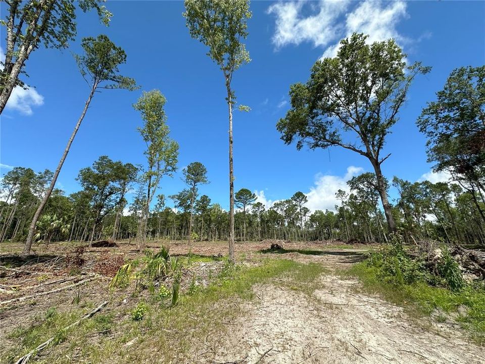 En Venta: $1,175,580 (83.97 acres)