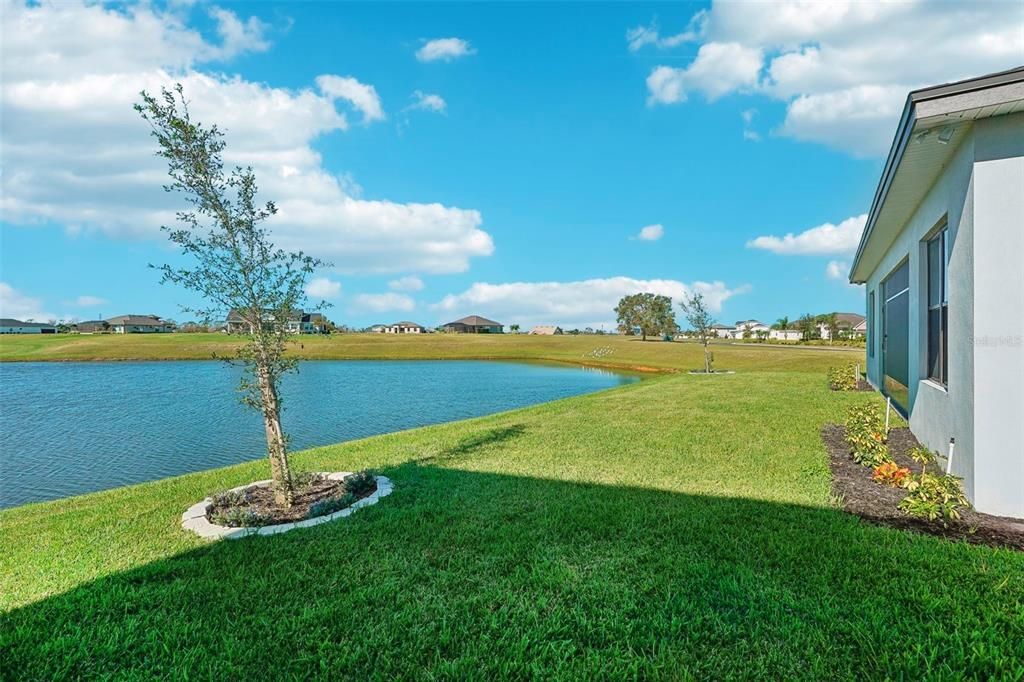 Fresh water Conservation Pond View