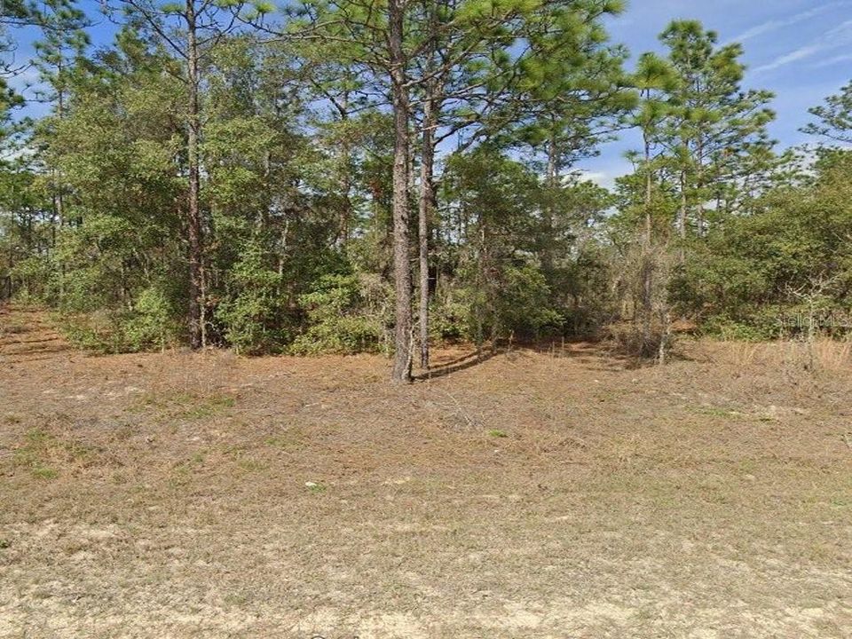 For Sale: $65,900 (1.14 acres)