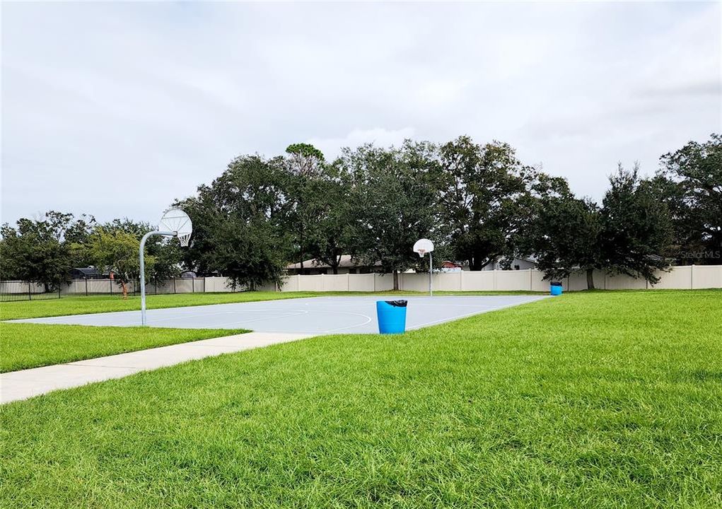 Community Basketball Park