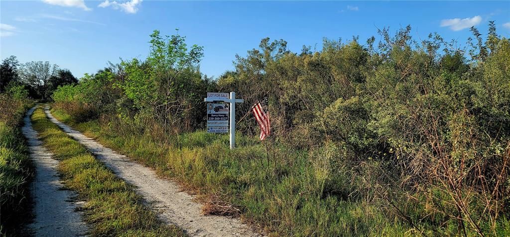 27484 San Carlos Dr Punta Gorda lot view from East