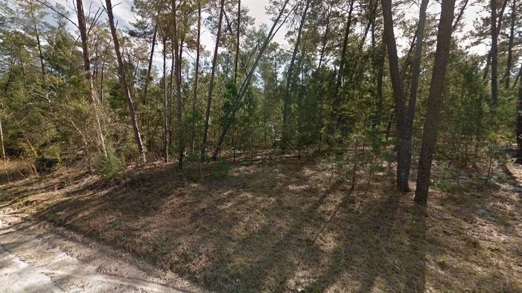 For Sale: $30,000 (1.25 acres)