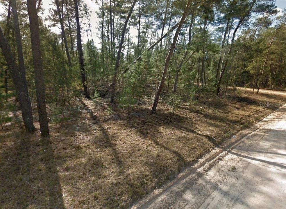 For Sale: $30,000 (1.25 acres)