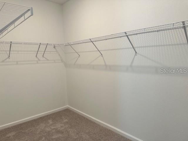 Primary Walk-in Closet