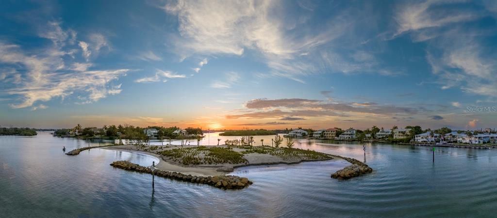 SNAKE ISLAND VENICE