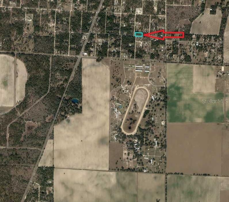 For Sale: $34,900 (1.25 acres)