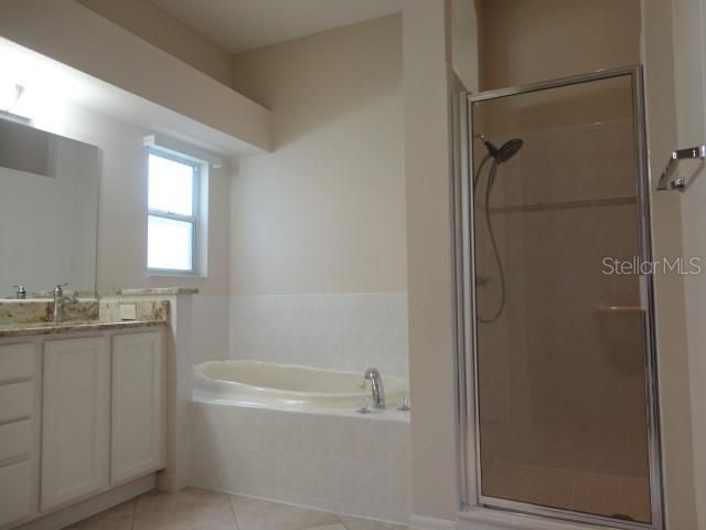 PRIMARY BATH TUB AND SHOWER