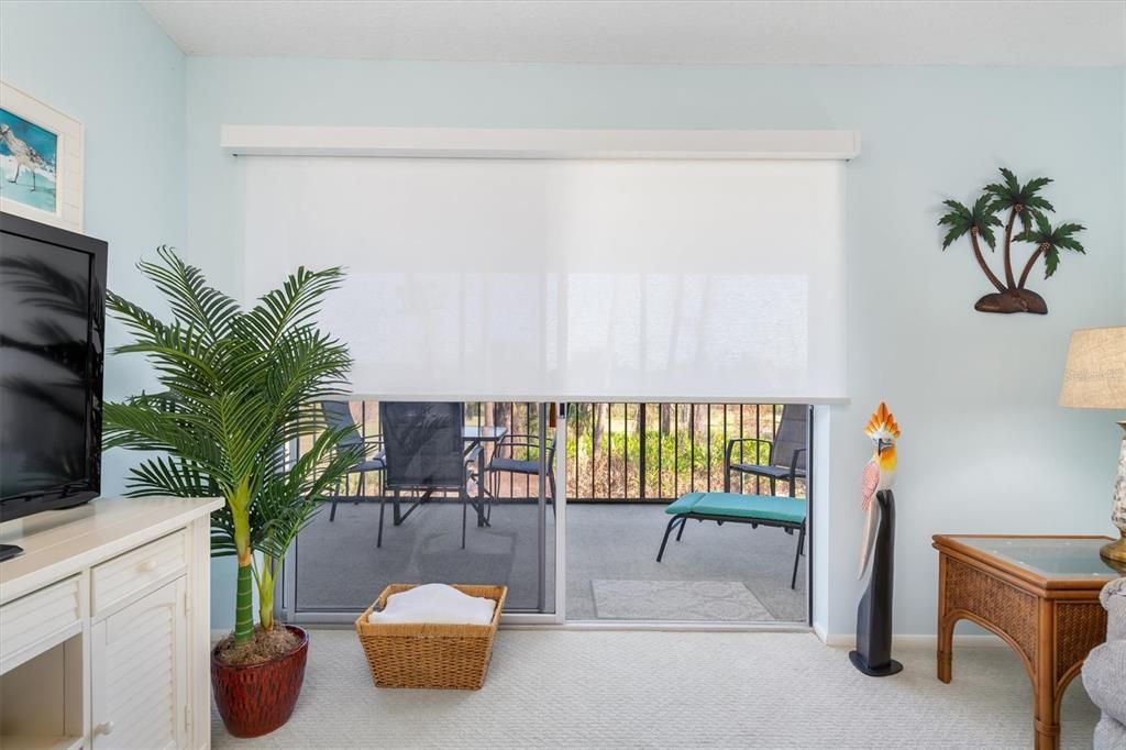 Remote-Controlled Shades in Living Room