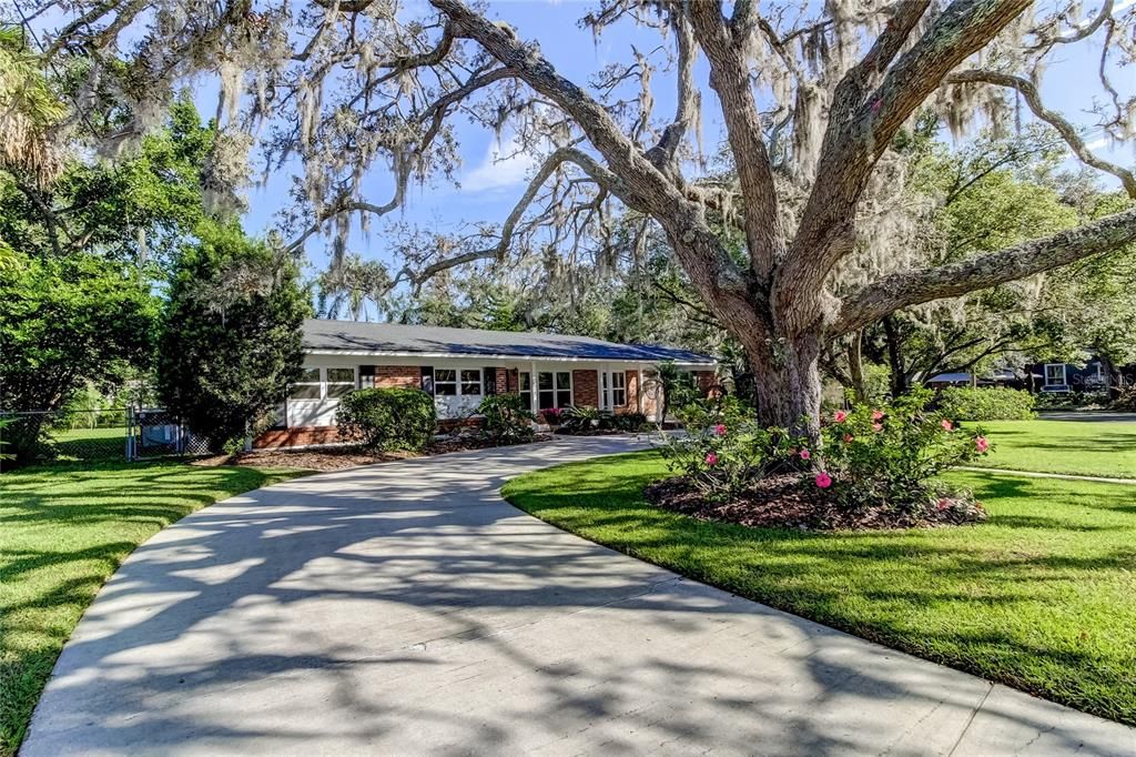 Front driveway