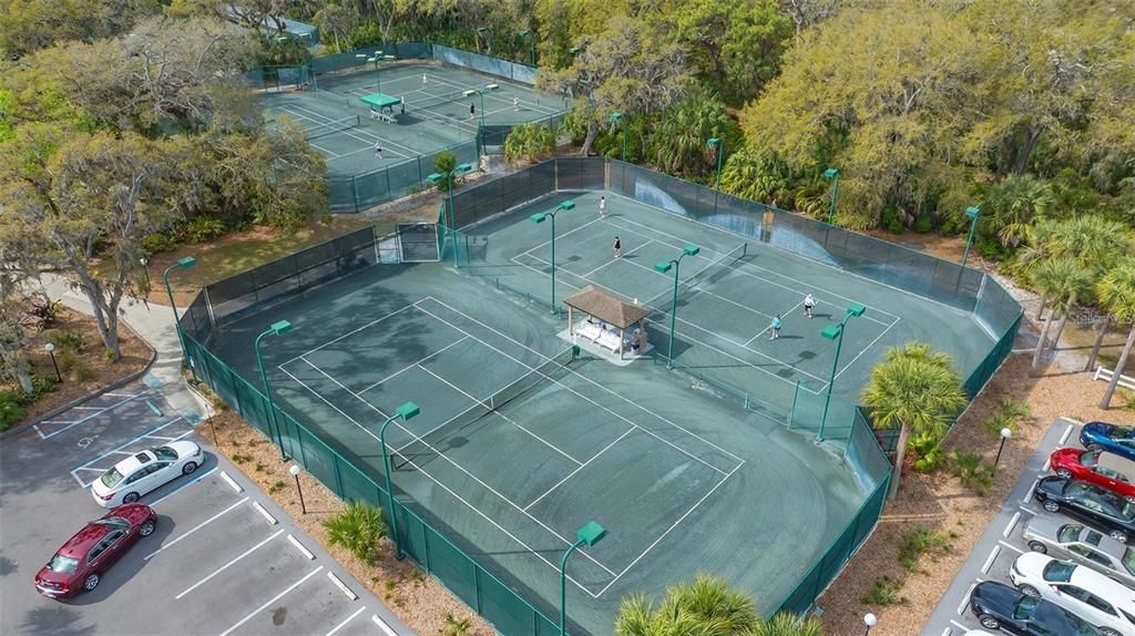 Meadows Renaissance Club Tennis courts