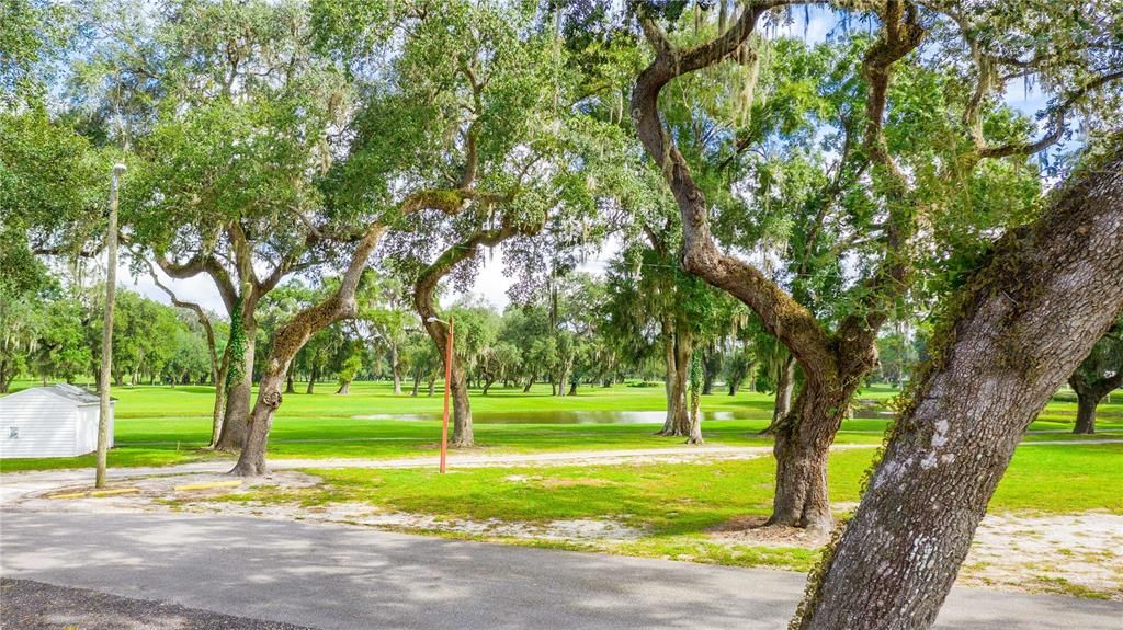 Many beautiful oak trees and walking trails in this community.