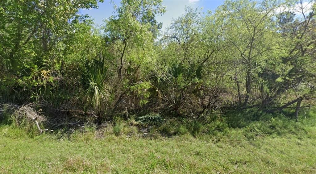 For Sale: $11,995 (0.23 acres)