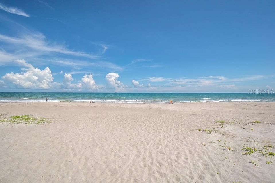 The beach right out front