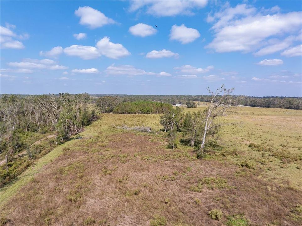 For Sale: $122,300 (13.74 acres)