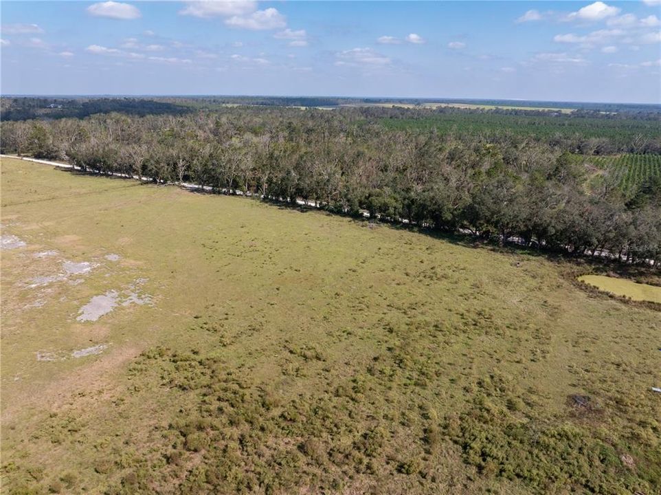 For Sale: $122,300 (13.74 acres)