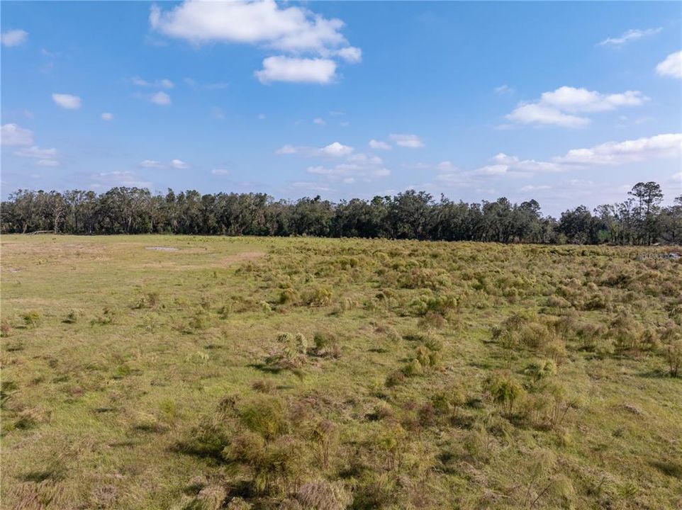 For Sale: $122,300 (13.74 acres)