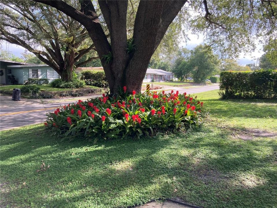 For Sale: $375,000 (3 beds, 2 baths, 1308 Square Feet)