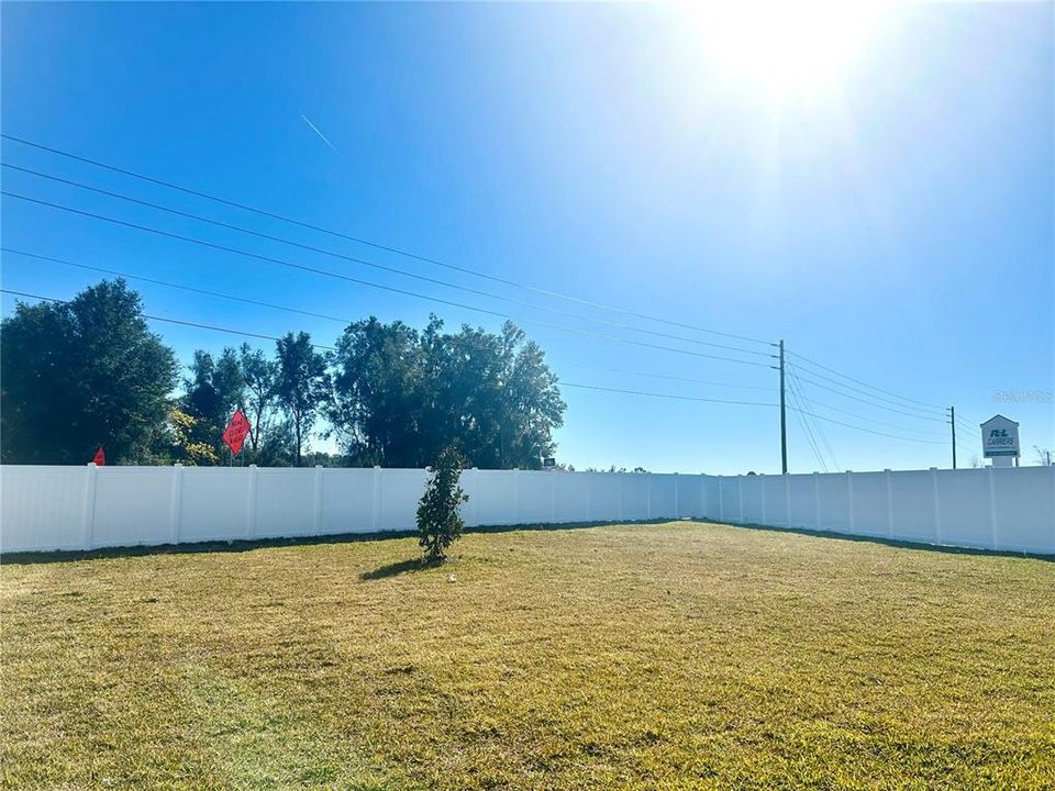 Big Back Yard Fenced