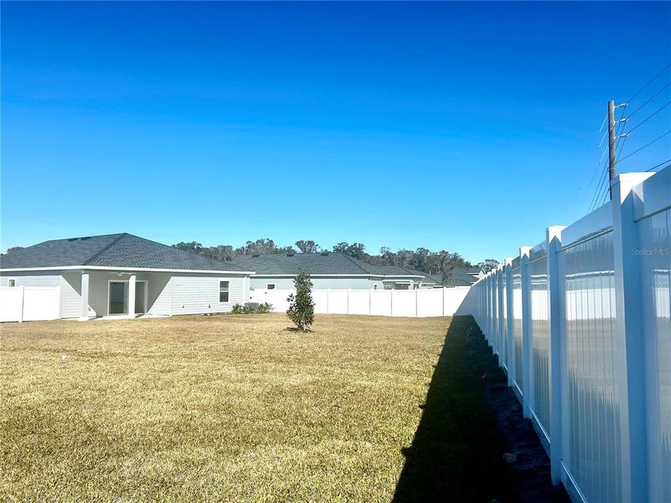 Fenced Back Yard