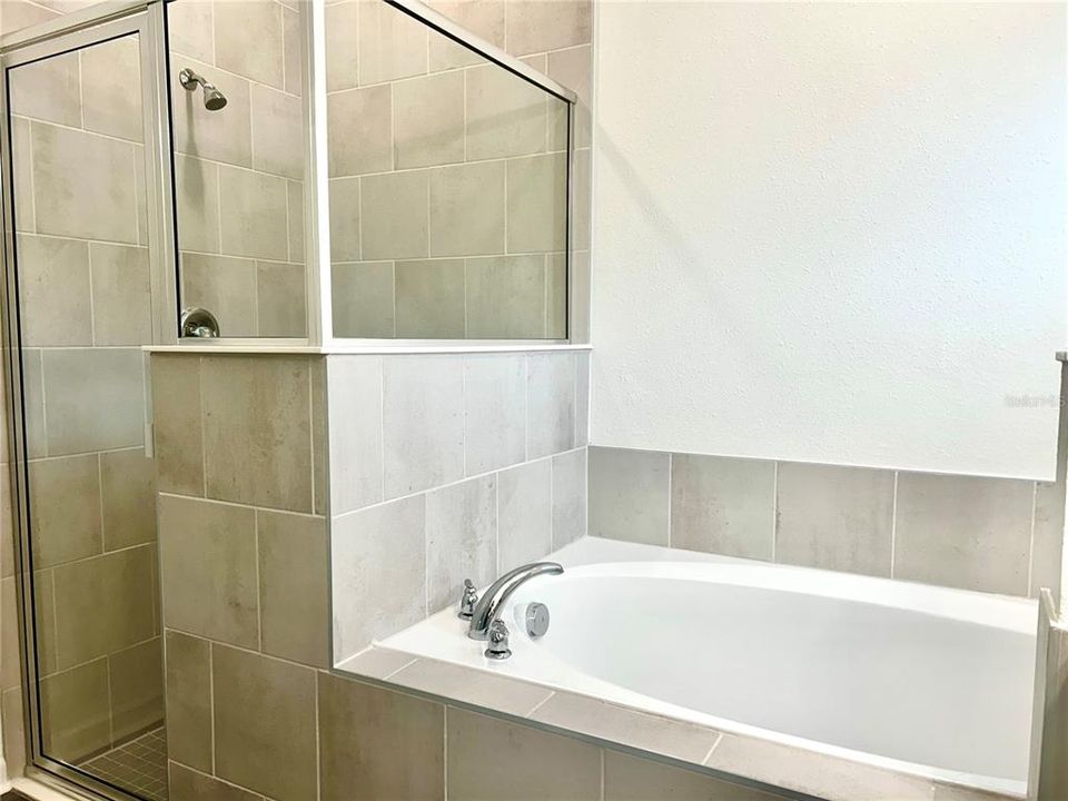 Primary Bathroom Tub & Shower Enclosure