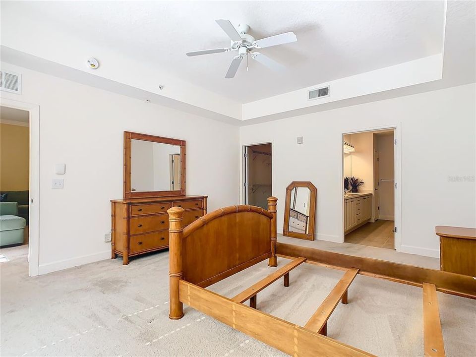 Owner's Suite with Tray Ceiling