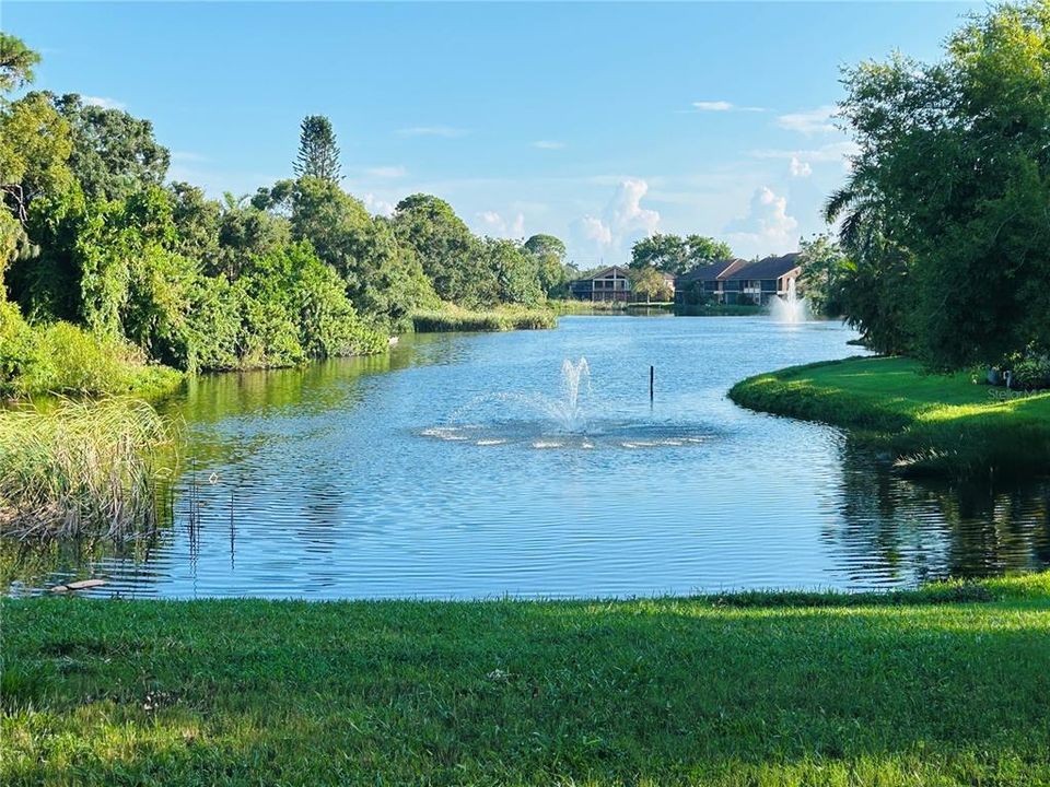 view of lake