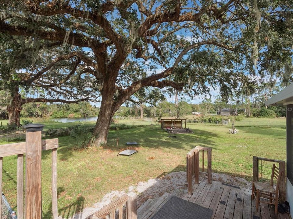 Backyard pond view