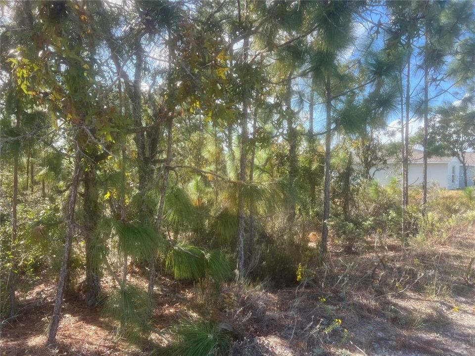 Active With Contract: $45,000 (0.30 acres)