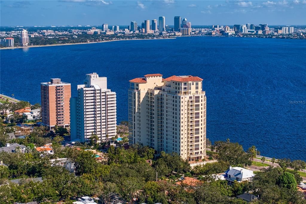 Bellamy along Bayshore Boulevard