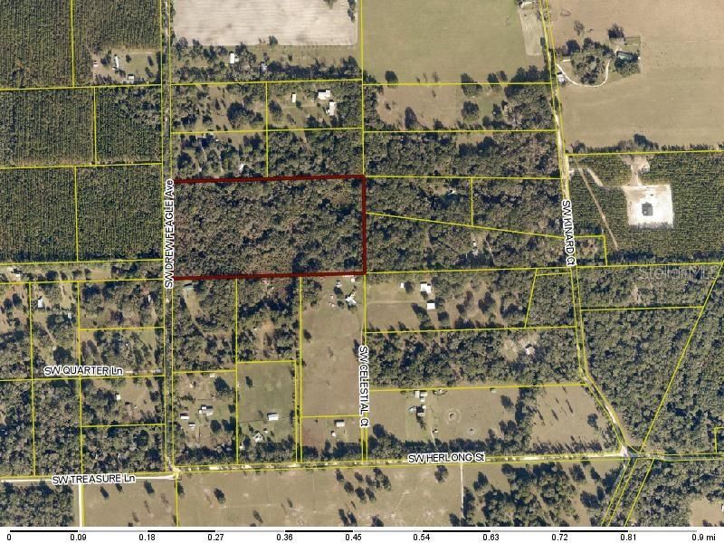 For Sale: $225,000 (20.00 acres)