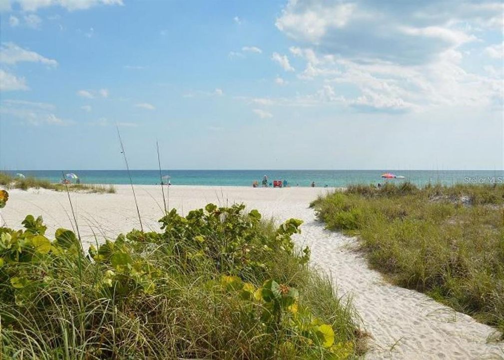 The Gulf Beach in all its splendor