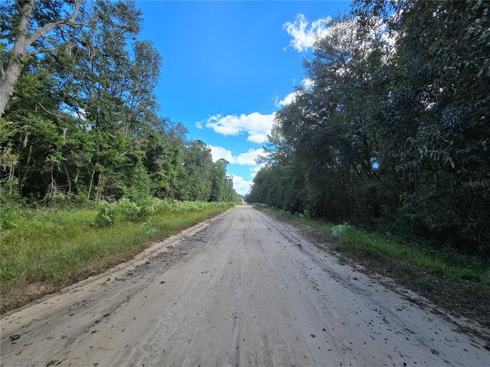 En Venta: $17,995 (0.65 acres)