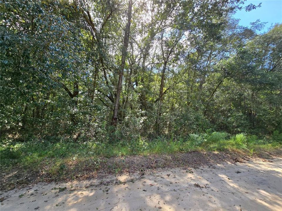 En Venta: $17,995 (0.65 acres)