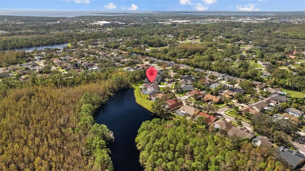 Serene pond view