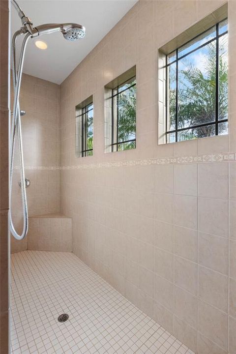 Massive walk-in shower