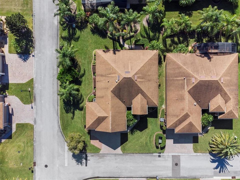 Corner Lot with lots of beautiful garden beds and palms