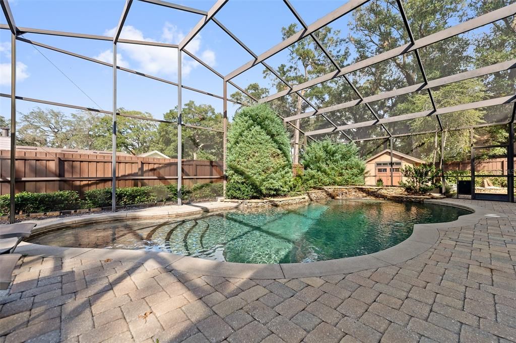 Spectacular salt water pool with pavers and plenty of room for lounging