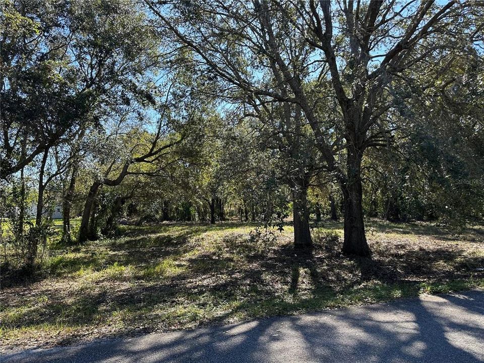 1.35 acres Beautiful trees!!!! Partially cleared!!! Come see for yourself the possiblilities!!! Log look home to the left of property is also for sale too!!!!!!