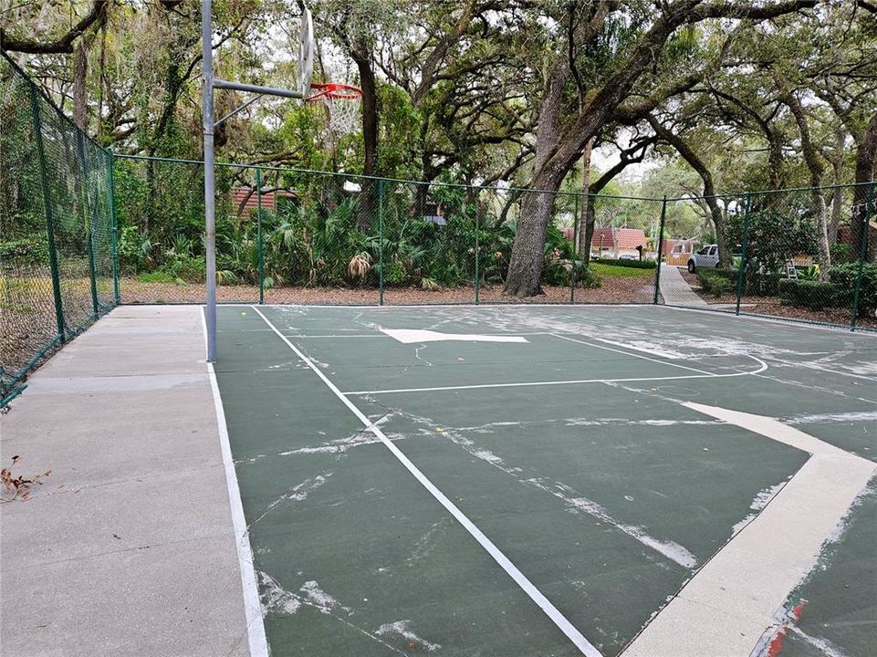 Basket ball court