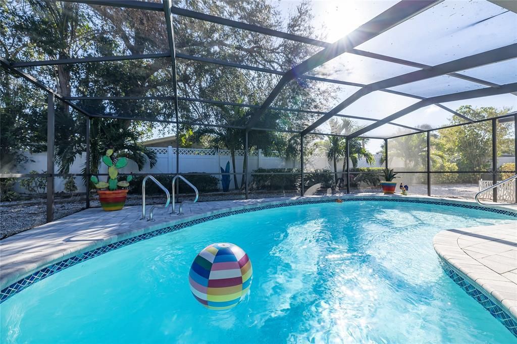 Large, screened pool and back yard