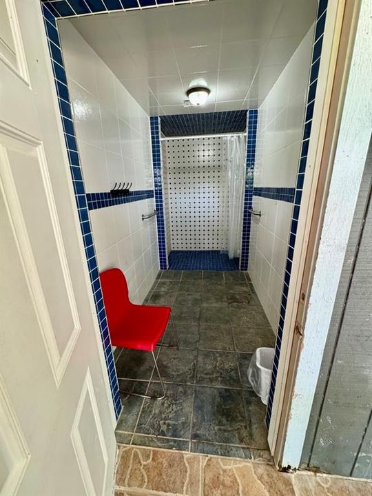 Handicap Accessible Shower