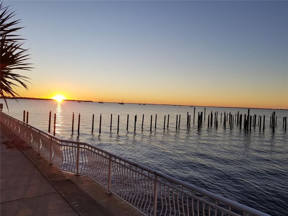 Sunset Charlotte Harbor