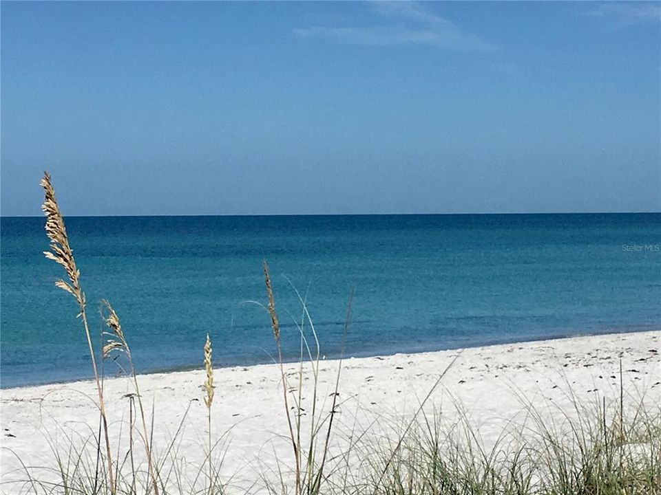 Beach and Gulf