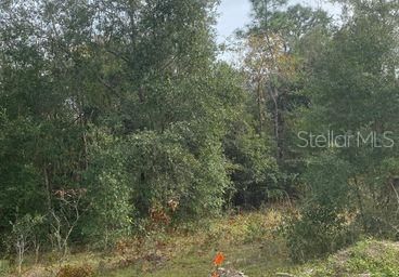 Недавно продано: $35,000 (1.25 acres)