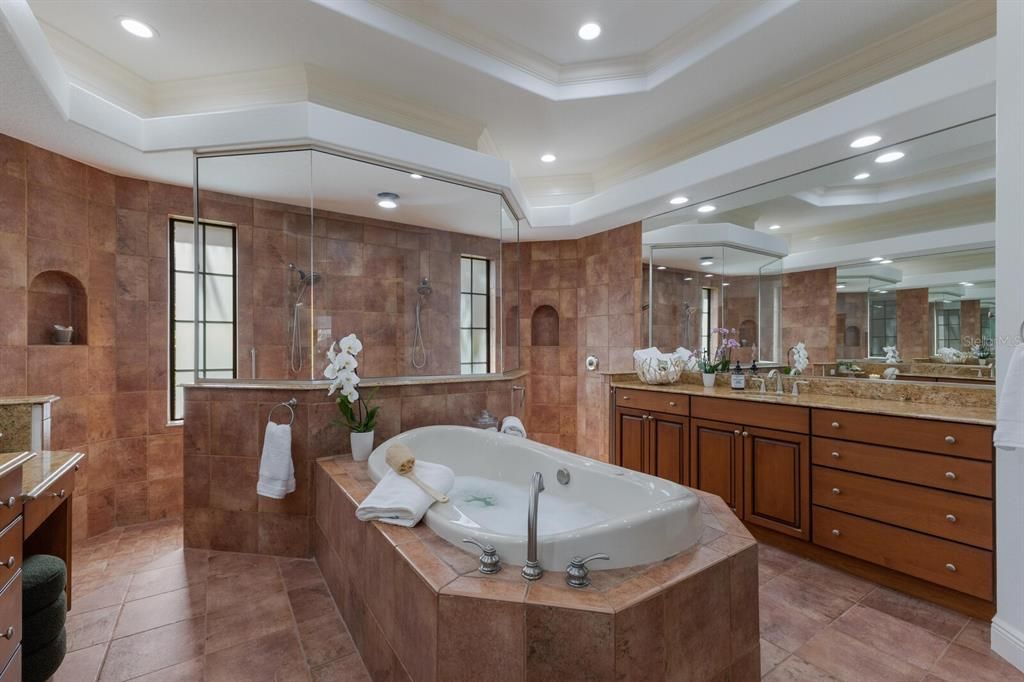 Luxurious Soaker tub with shower