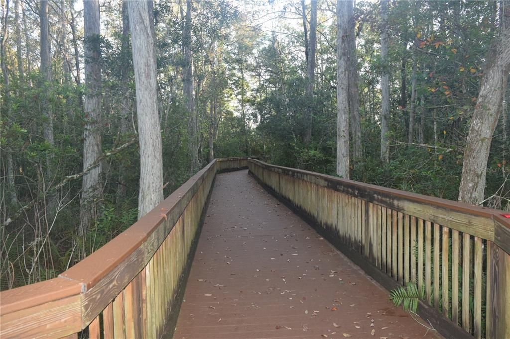 Community Walking Path Bridge