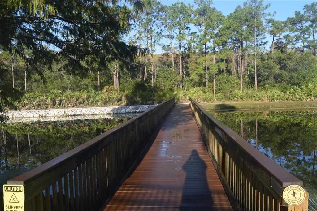 Community Pond & Walking Path Bridge