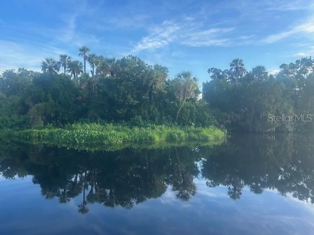 View from fishing pier