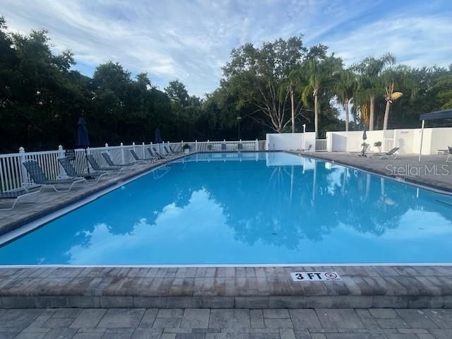 Another view of Junior Olympic pool